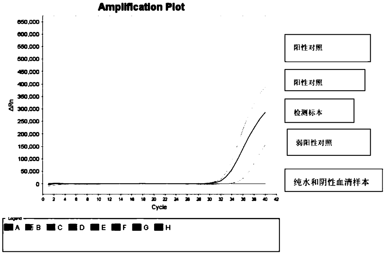 Kit and method for detecting CMV infection in trace biological sample of eye