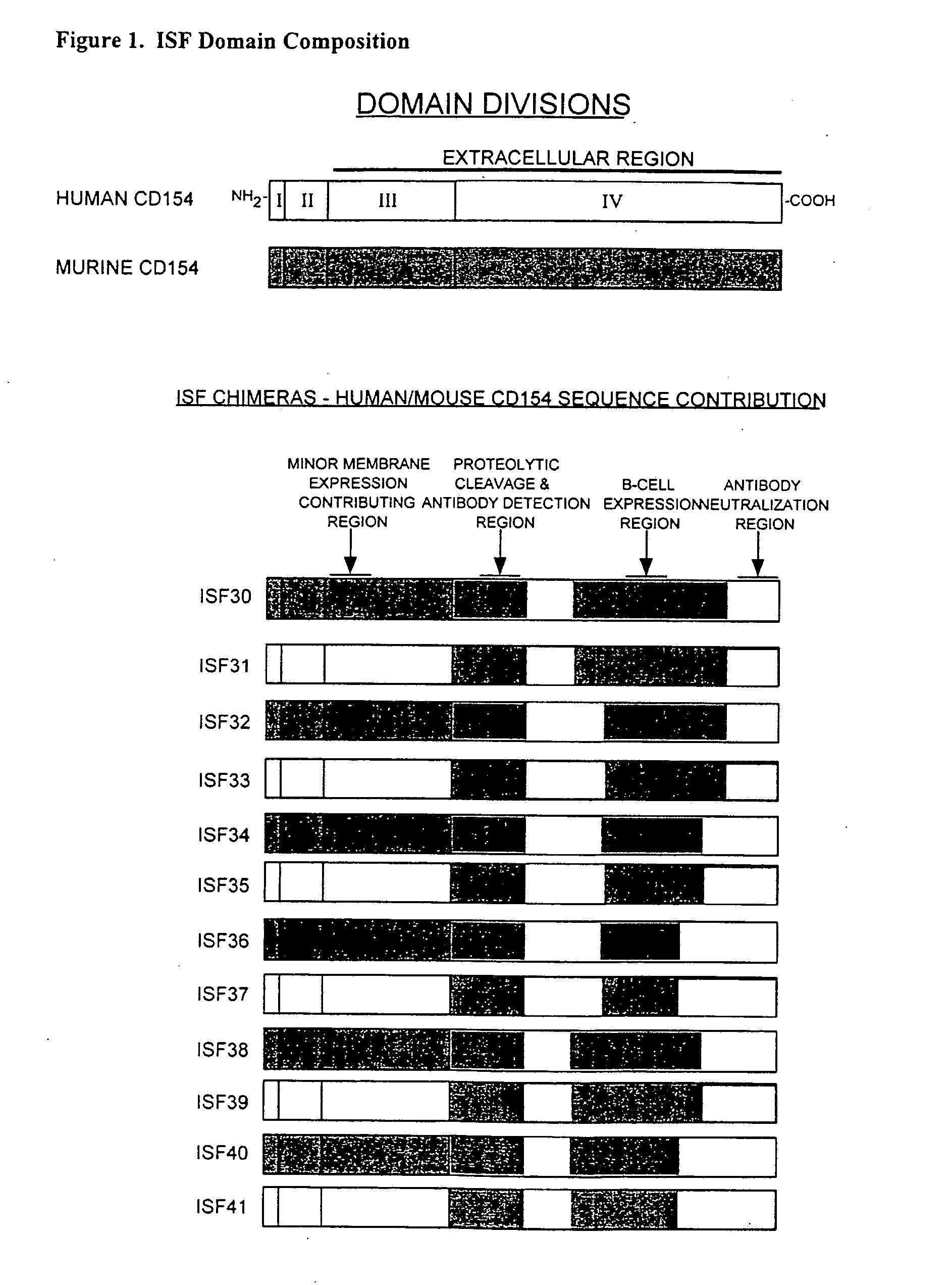 Nucleic Acids Encoding Chimeric CD154 Polypeptides