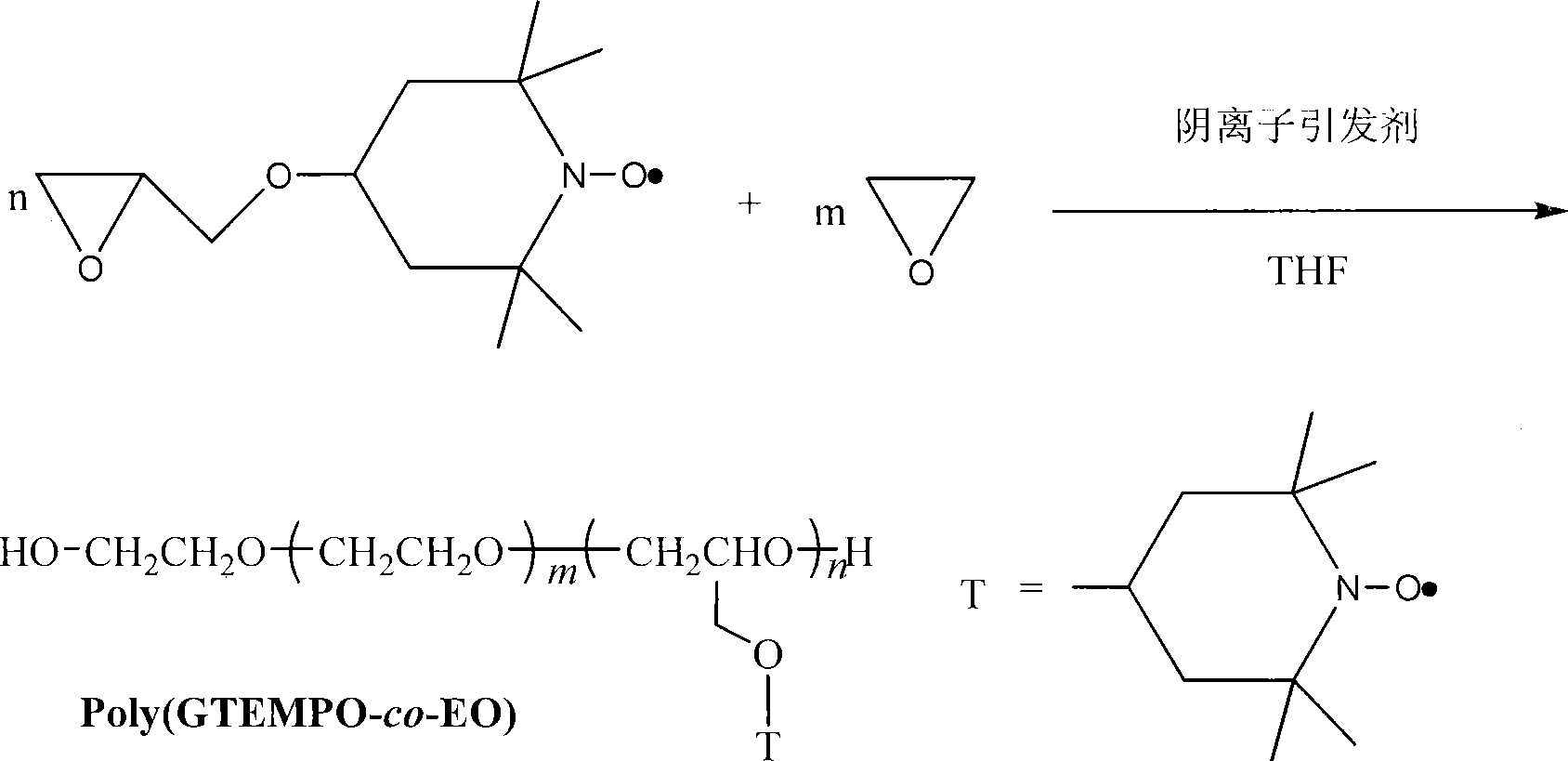 Amphiphilic macrocyclic polymer and preparation method