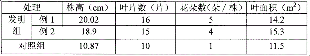 Sowbread cultivation nutrient solution and application method thereof