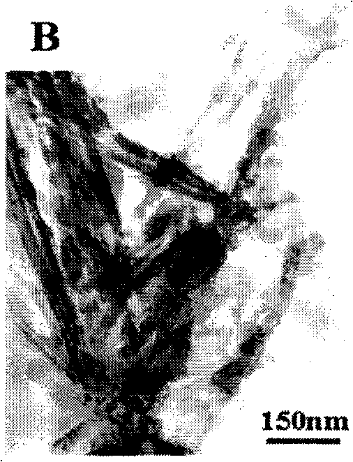 Organic modification method for attapulgite stone and uses of organic modified attapulgite stone