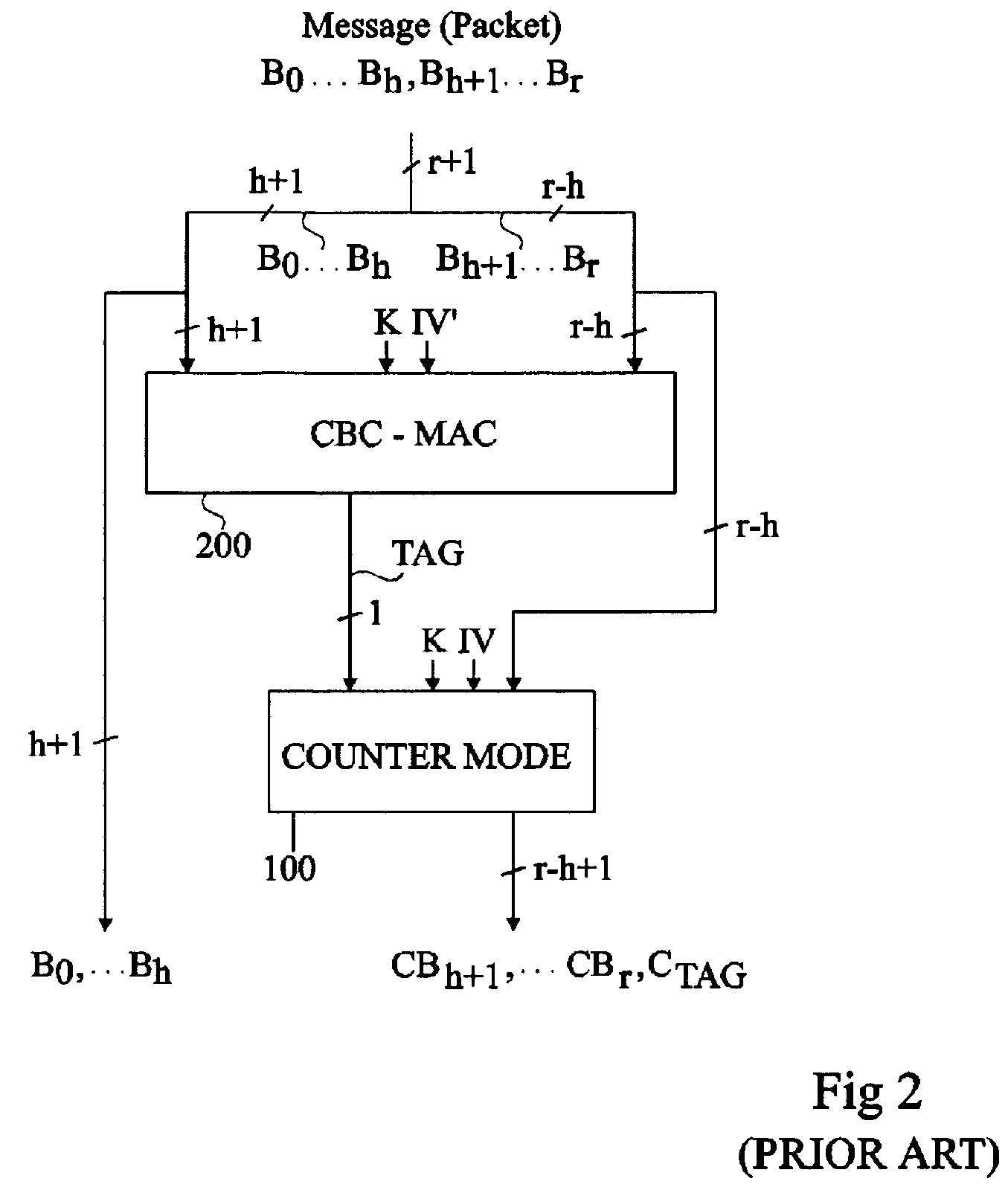 AES encryption circuitry with CCM