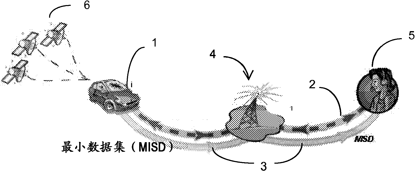 Method and processing system for attempting an emergency call by a wireless device