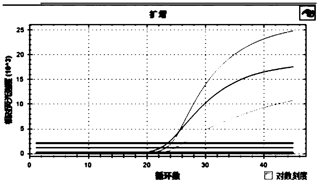 Kit for detecting norovirus I, norovirus II and rotavirus