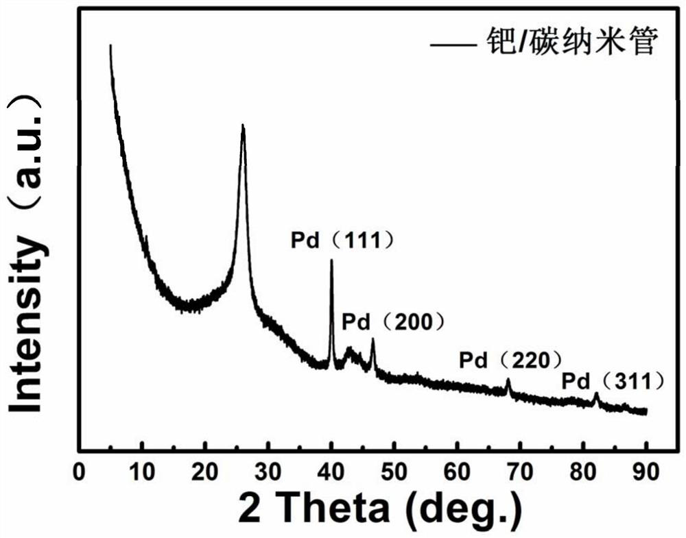 A kind of palladium/carbon material catalyst preparation method and application of carbon material in situ immobilized palladium nanoparticles