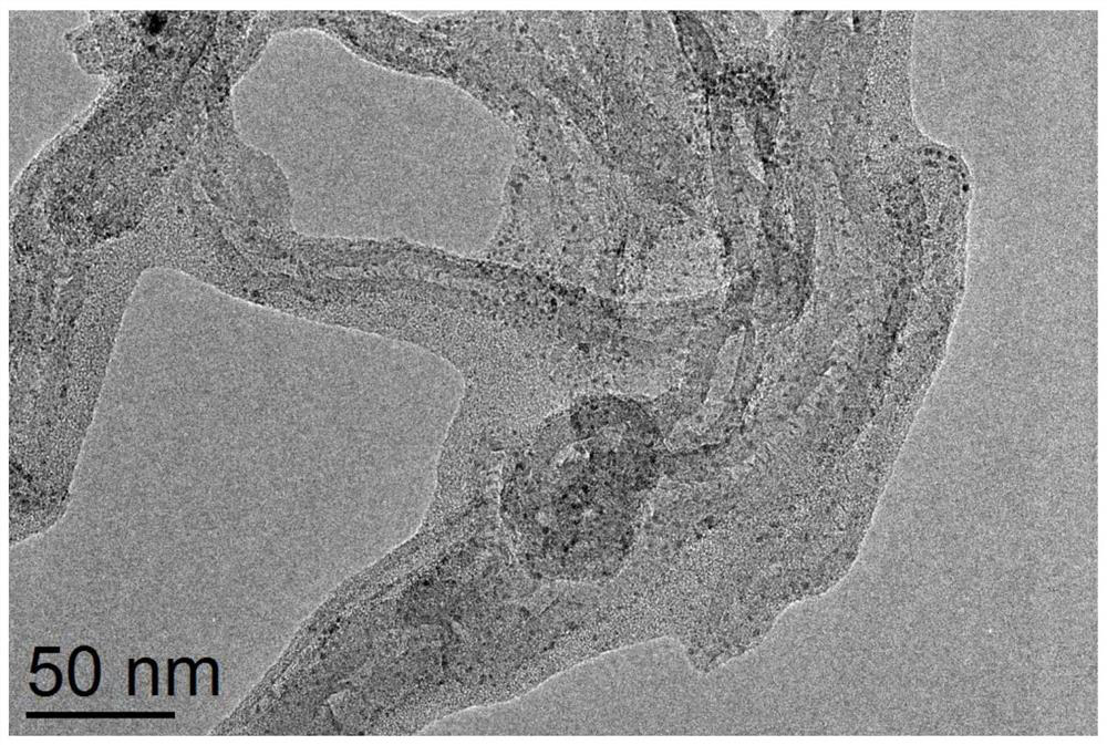 A kind of palladium/carbon material catalyst preparation method and application of carbon material in situ immobilized palladium nanoparticles