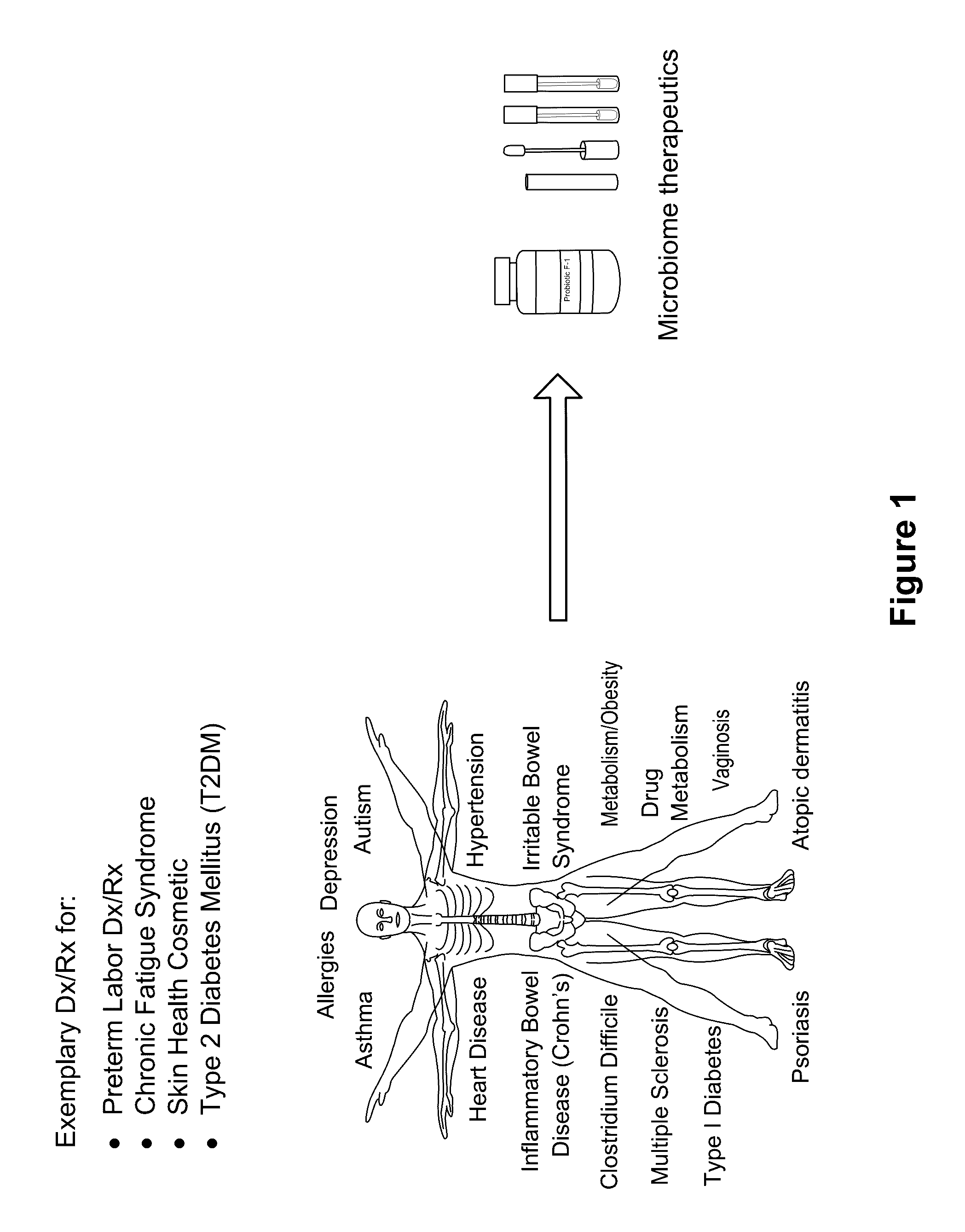 Methods and compositions relating to microbial treatment and diagnosis of disorders