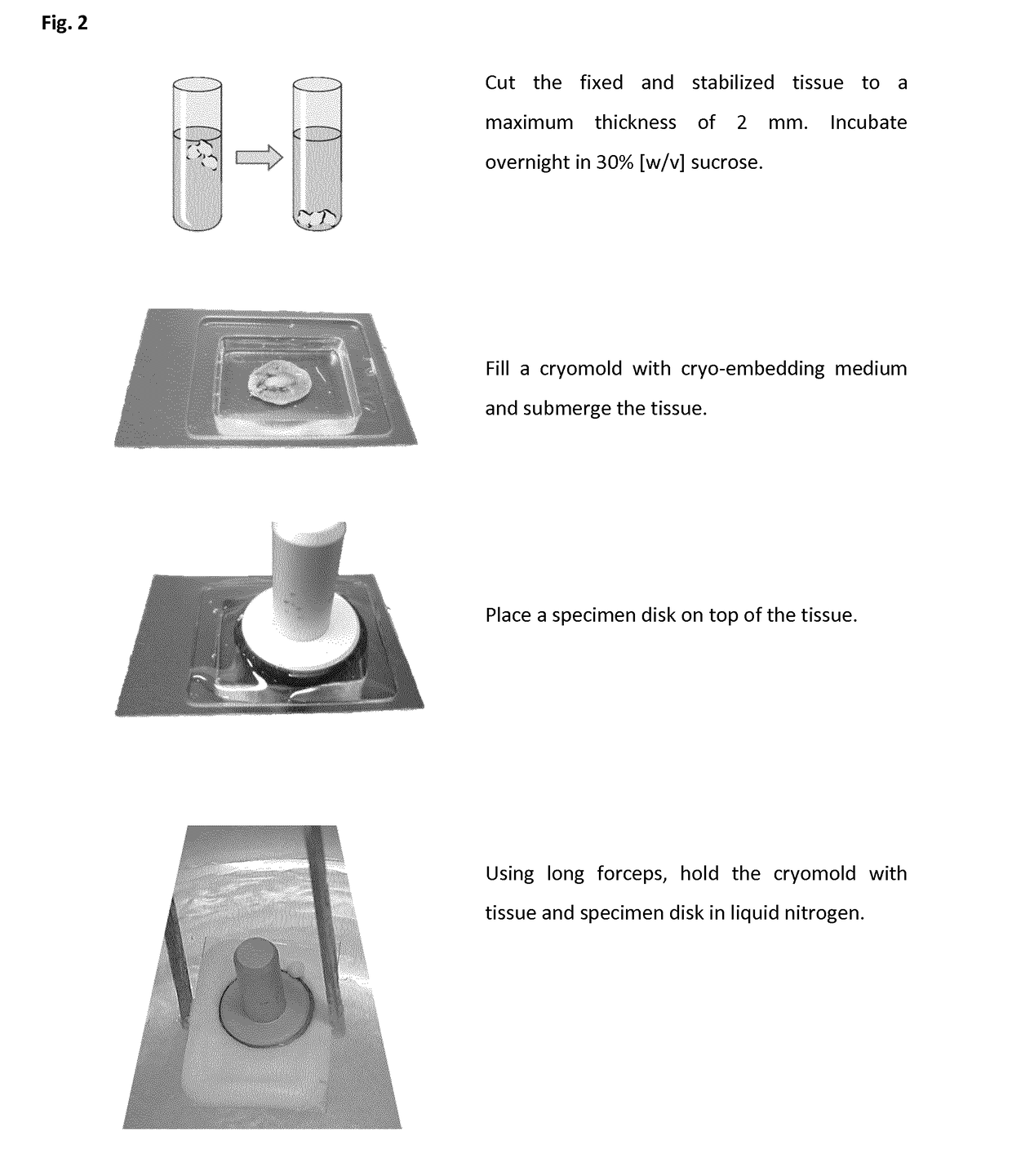 Method of preparing a frozen biological sample