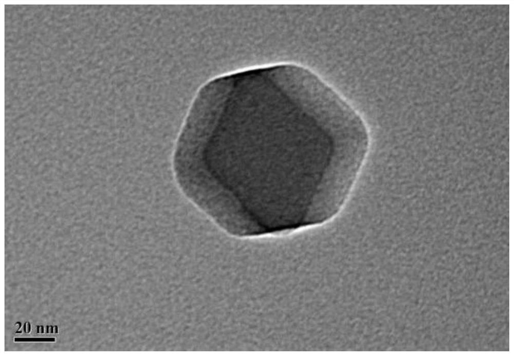 Metal organic framework material for tumor microwave thermal-dynamic therapy as well as preparation method and application of metal organic framework material