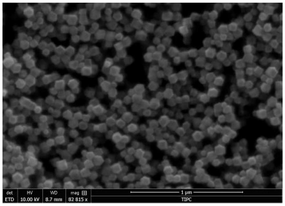 Metal organic framework material for tumor microwave thermal-dynamic therapy as well as preparation method and application of metal organic framework material