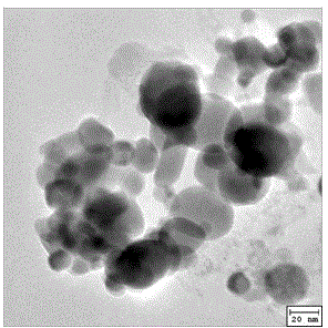 Preparation method of zinc selenide nanometer photocatalyst and application of zinc selenide nanometer photocatalyst