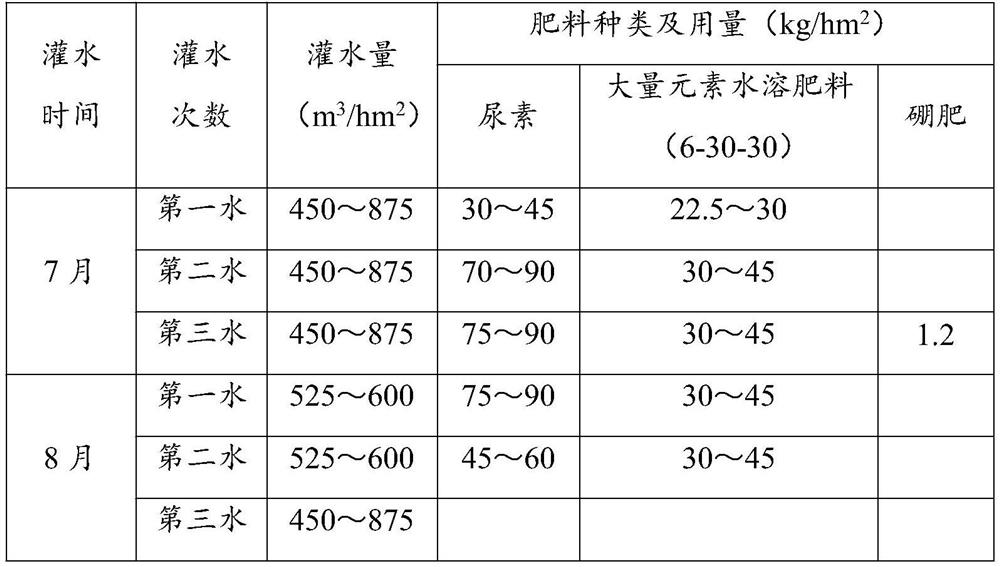 Chemical topping and later-period management method for Xinjiang early-medium ripening upland cotton