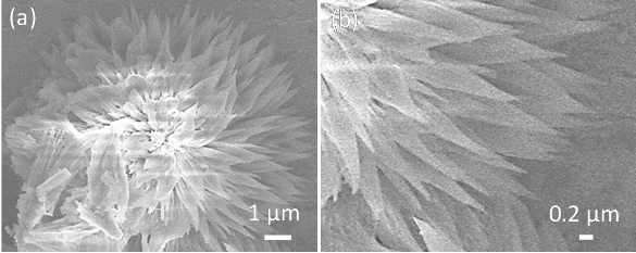 Preparation method of carbon nitride photocatalytic material with carbon defects and oxygen doping and application of carbon nitride photocatalytic material in removal of tetracycline in water body