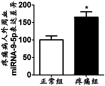 Application of mirna-9-5p compound in the preparation of chronic pain diagnostic markers and therapeutic drugs