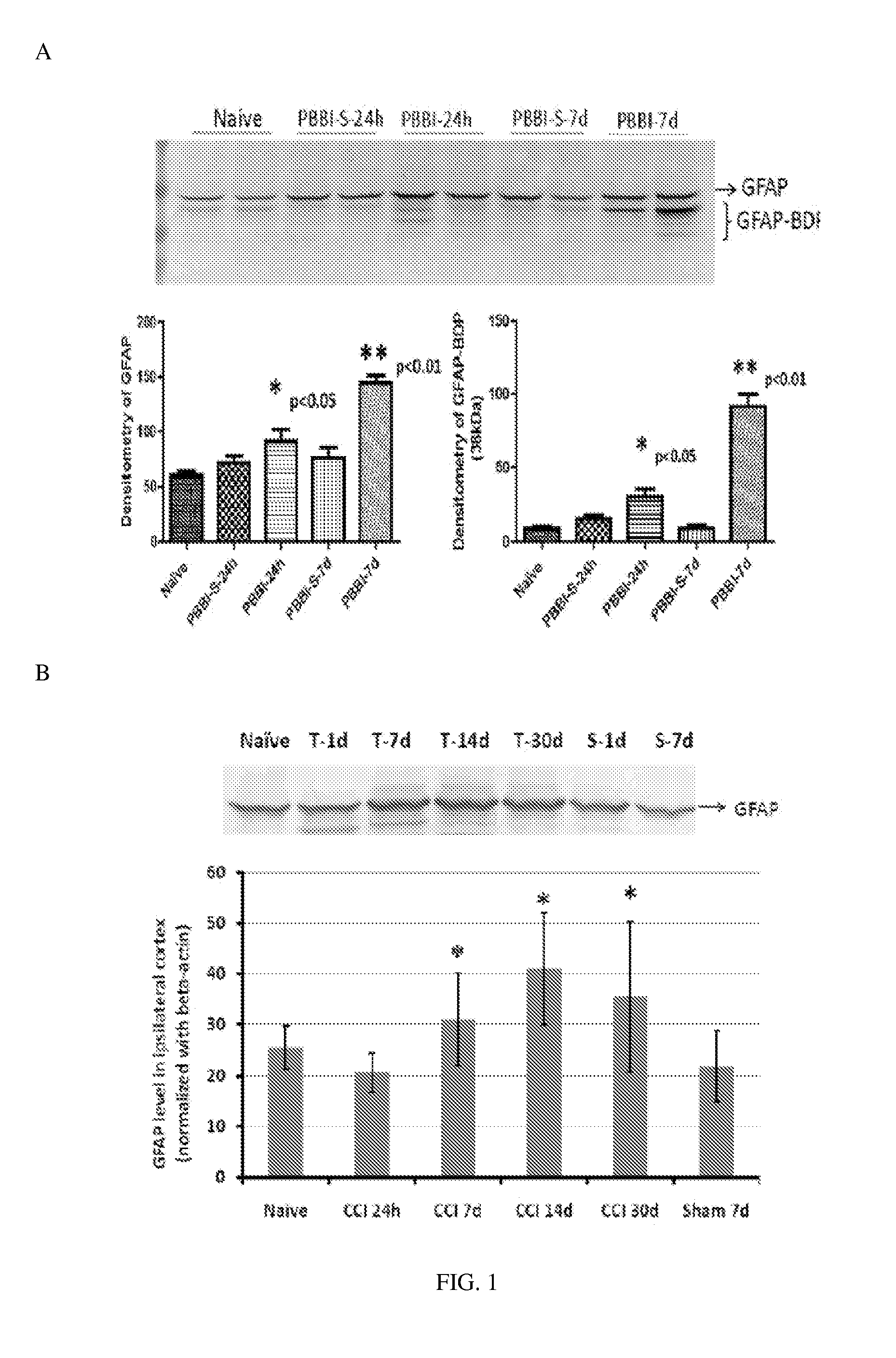 Micro-RNA, autoantibody and protein markers for diagnosis of neuronal injury