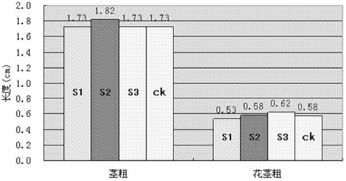 Technique for dwarfing curcuma alismatifolia with uniconazole