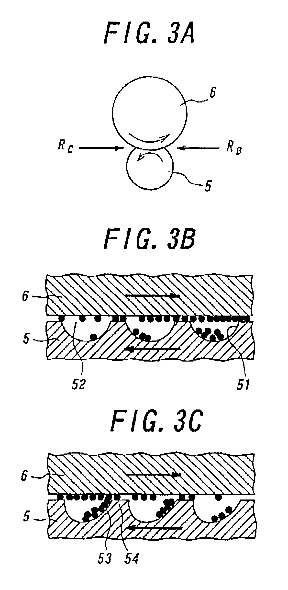 Foamed elastic member for use in image forming apparatus