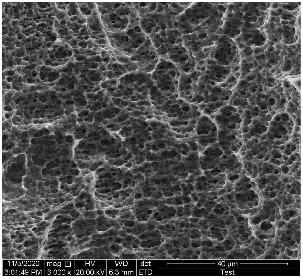 Surface treatment process of a titanium alloy dental implant