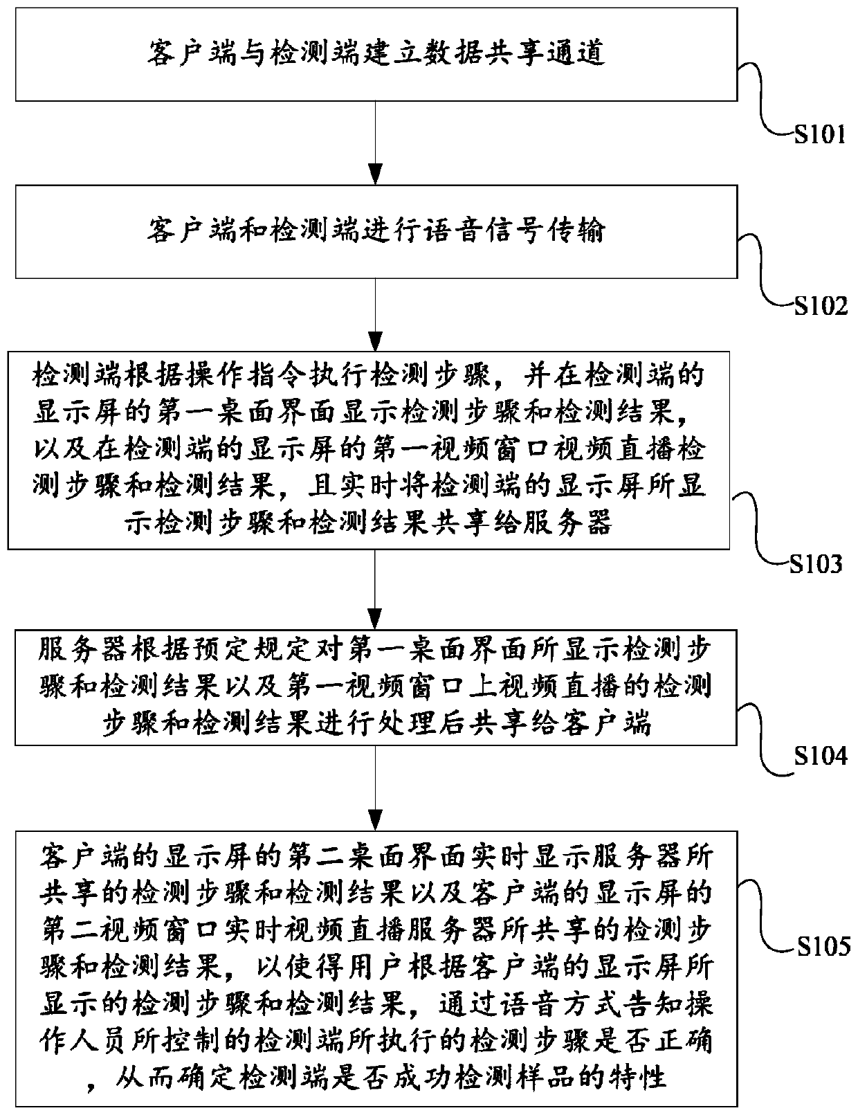 A remote virtual interactive detection method and system