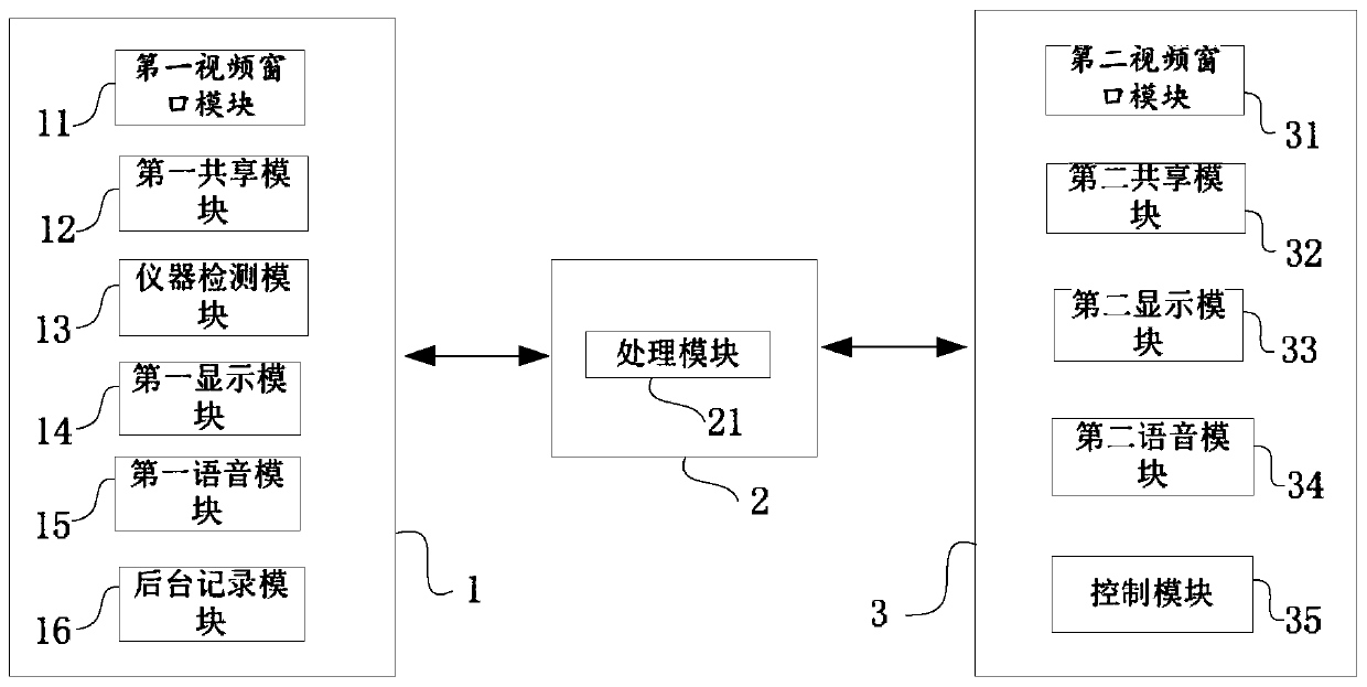 A remote virtual interactive detection method and system