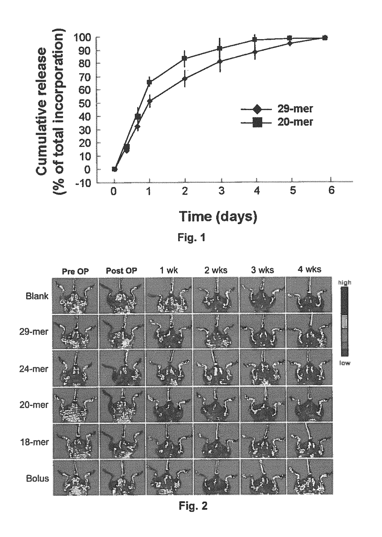 Use of PEDF-derived polypeptides for promoting muscle or tendon regeneration or arteriogenesis