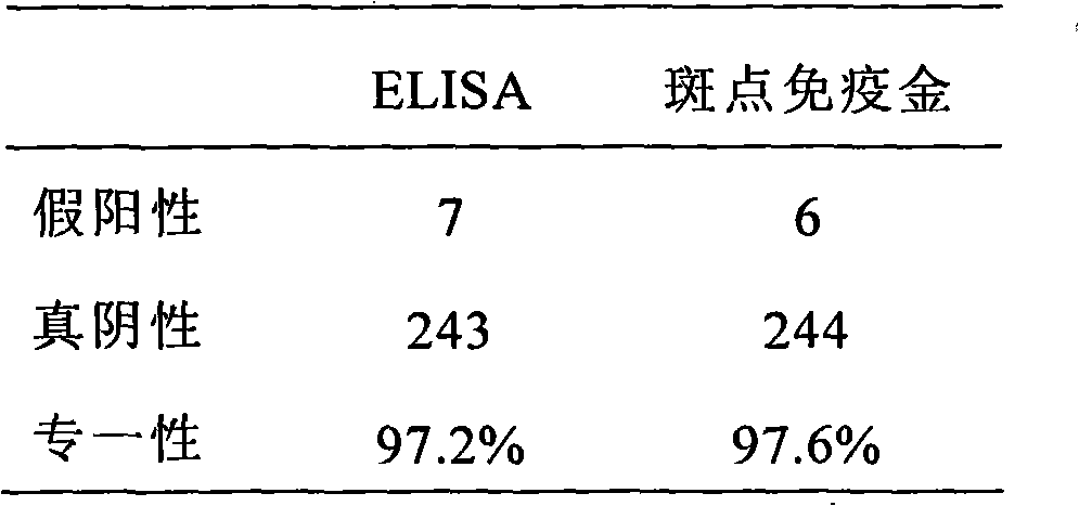 CCP (Cyclic Citrullinated Peptide) used for detecting the immune antibody of rheumatoid arthritis with dot immuno-gold filtration assay