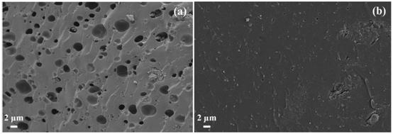 Preparation method of white carbon black-biogel composite water-absorbing material