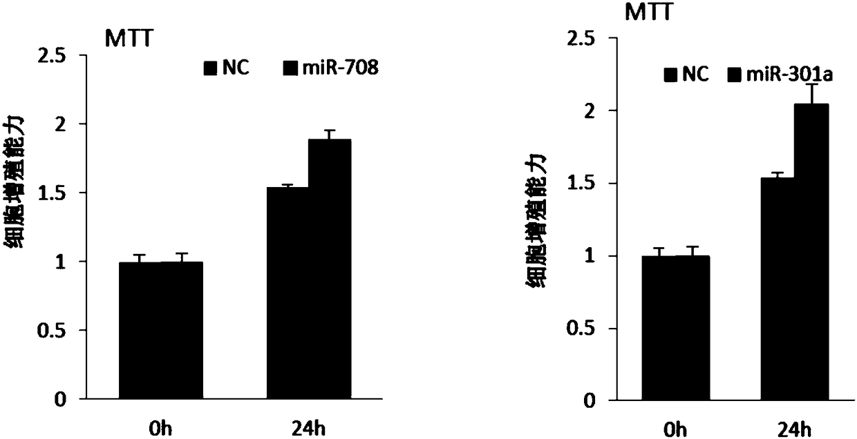 Application of miRNA708 and/or 301-cluster miRNA in the aspect of improving cardiac function