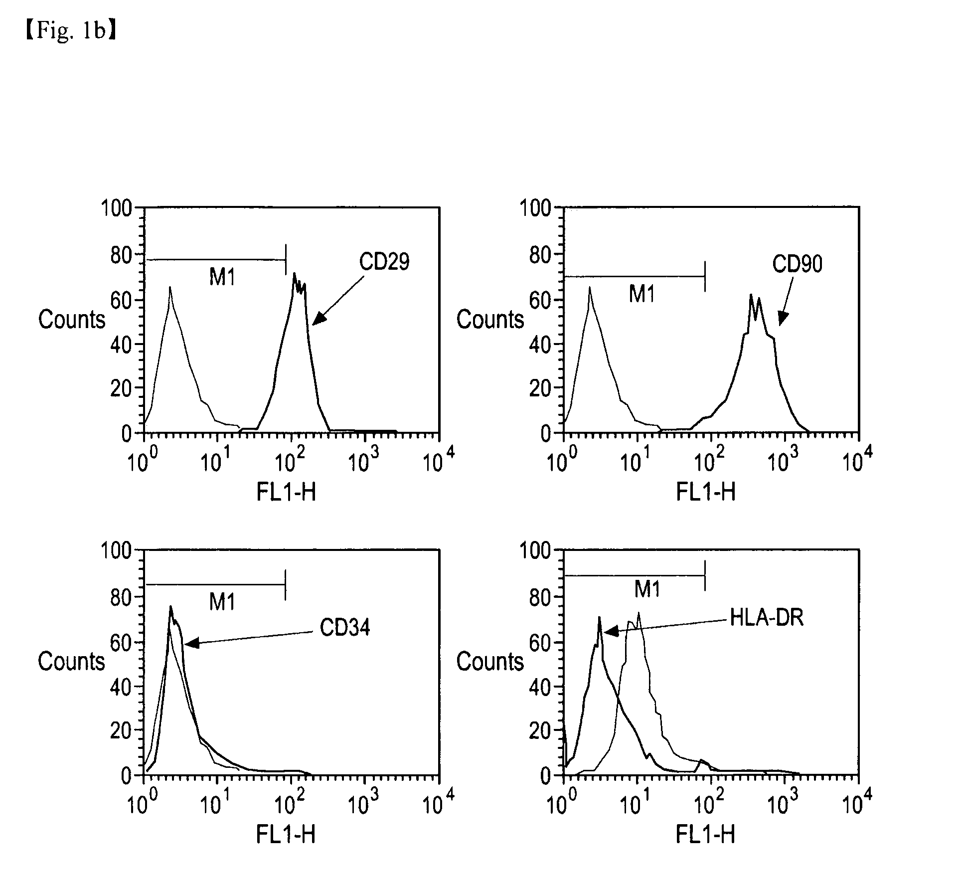 Method for differentiation of stem cells into vascular cells and the induction of angiogenesis using the same