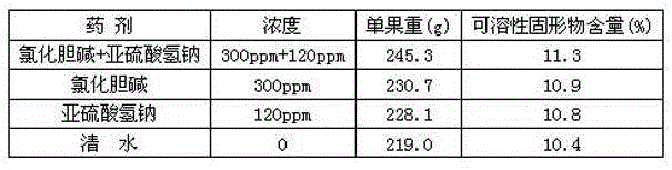 Composition for improving photosynthetic efficiency