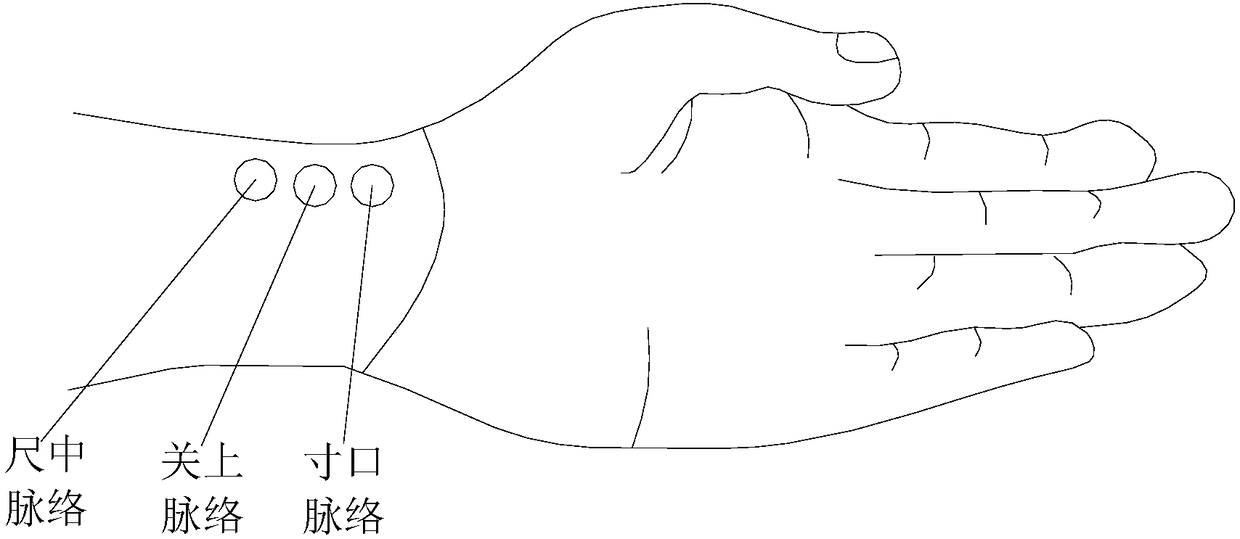 Pulse monitoring device and system