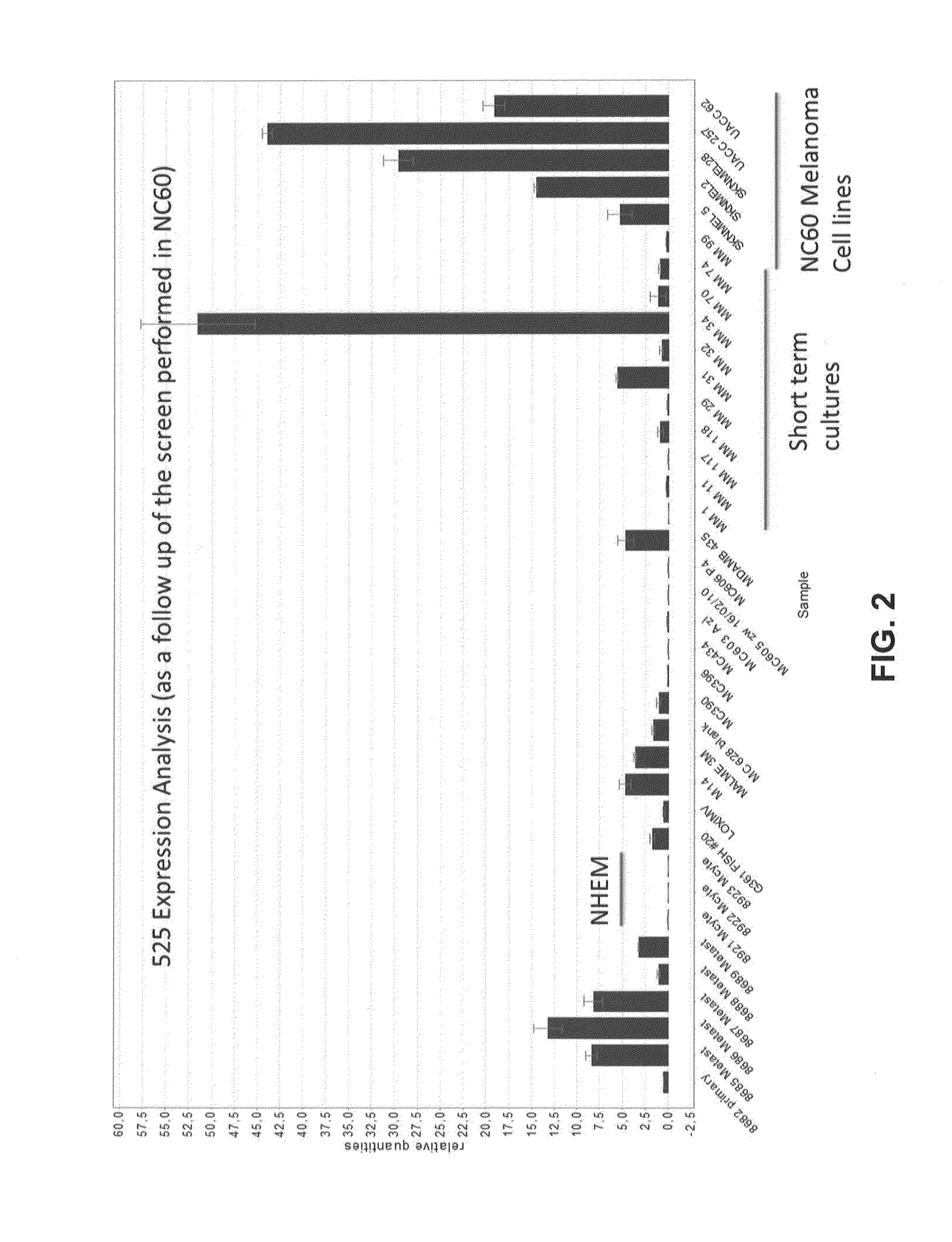 INHIBITION OF A lncRNA FOR TREATMENT OF MELANOMA
