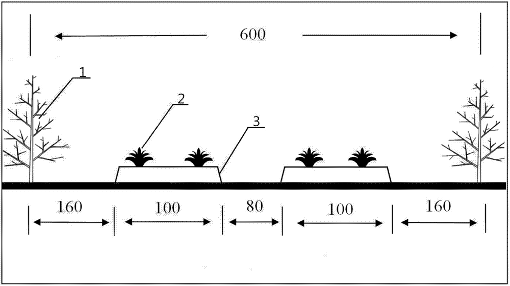 Method for interplanting pineapples and macadimia nut trees