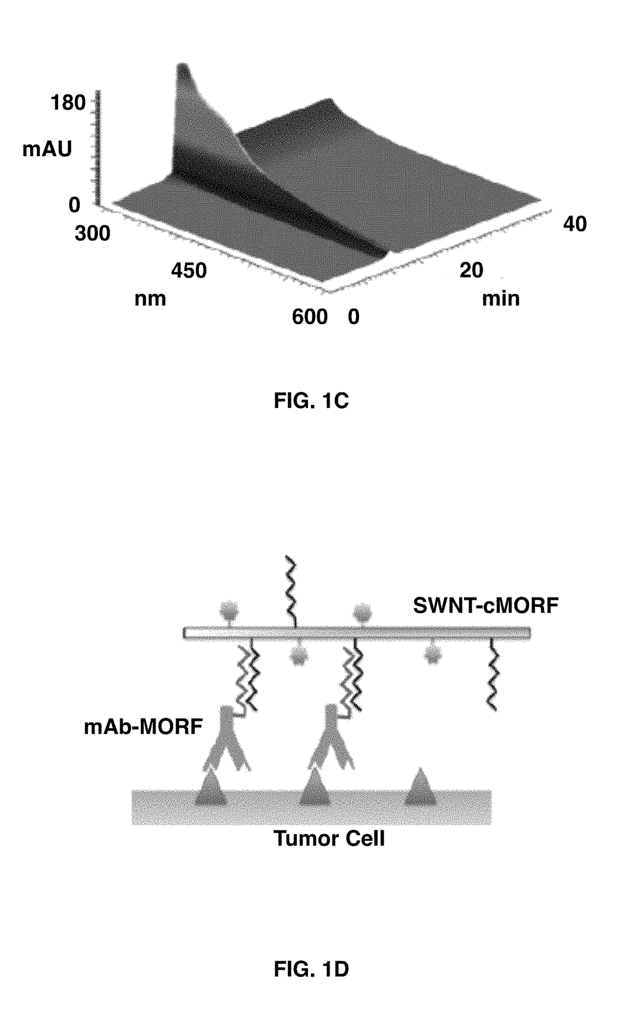 Targeted self-assembly of functionalized carbon nanotubes on tumors