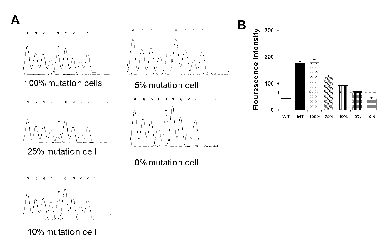 Primer probe system, method and kit for detecting epidermal growth factor receptor exon 19 and 21 mutations