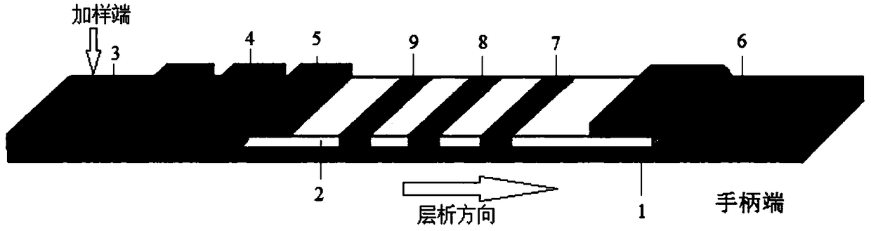 Bivalent gold-labeled test strip for classical swine fevervirus and porcine pseudorabies virus and preparation method thereof