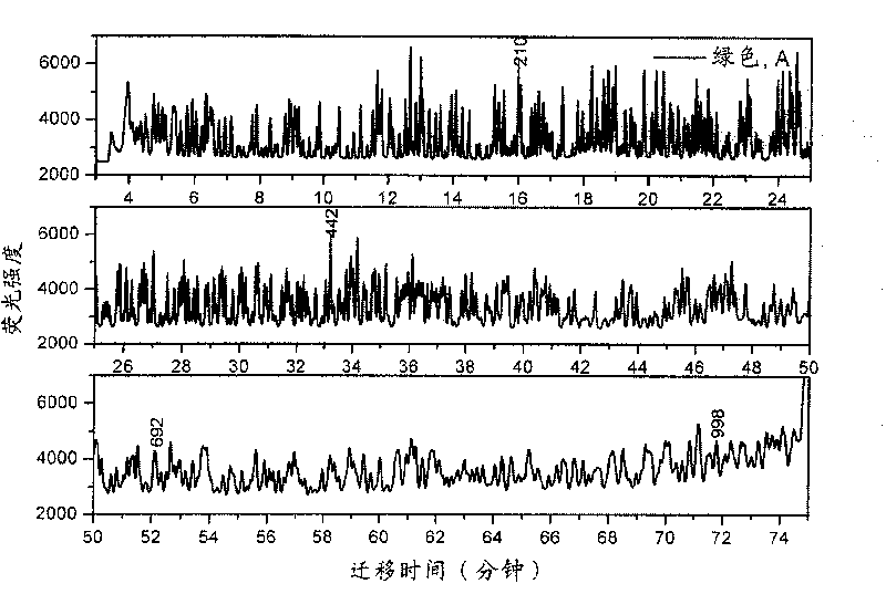 Polymer/gold nano particle composite medium for use in capillary electrophoresis DNA sequencing and method for preparing same