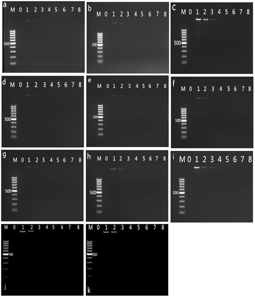 A kind of multiple PCR kit and detection method for transgenic soybean detection