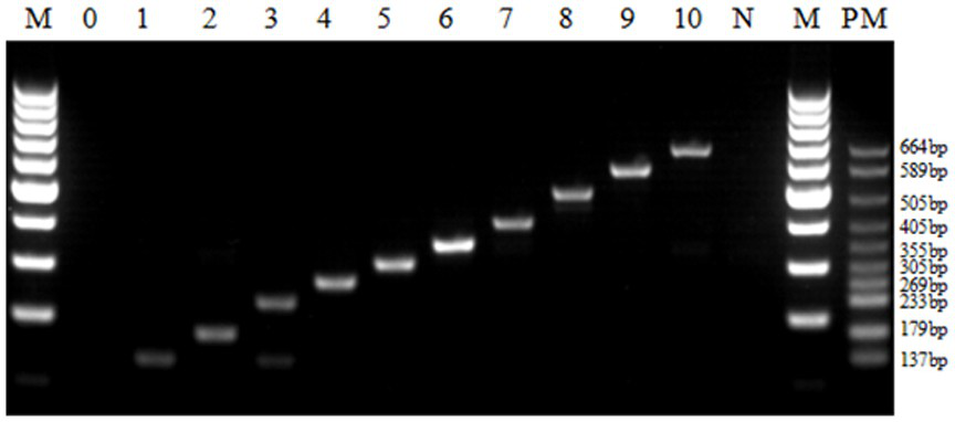 A kind of multiple PCR kit and detection method for transgenic soybean detection