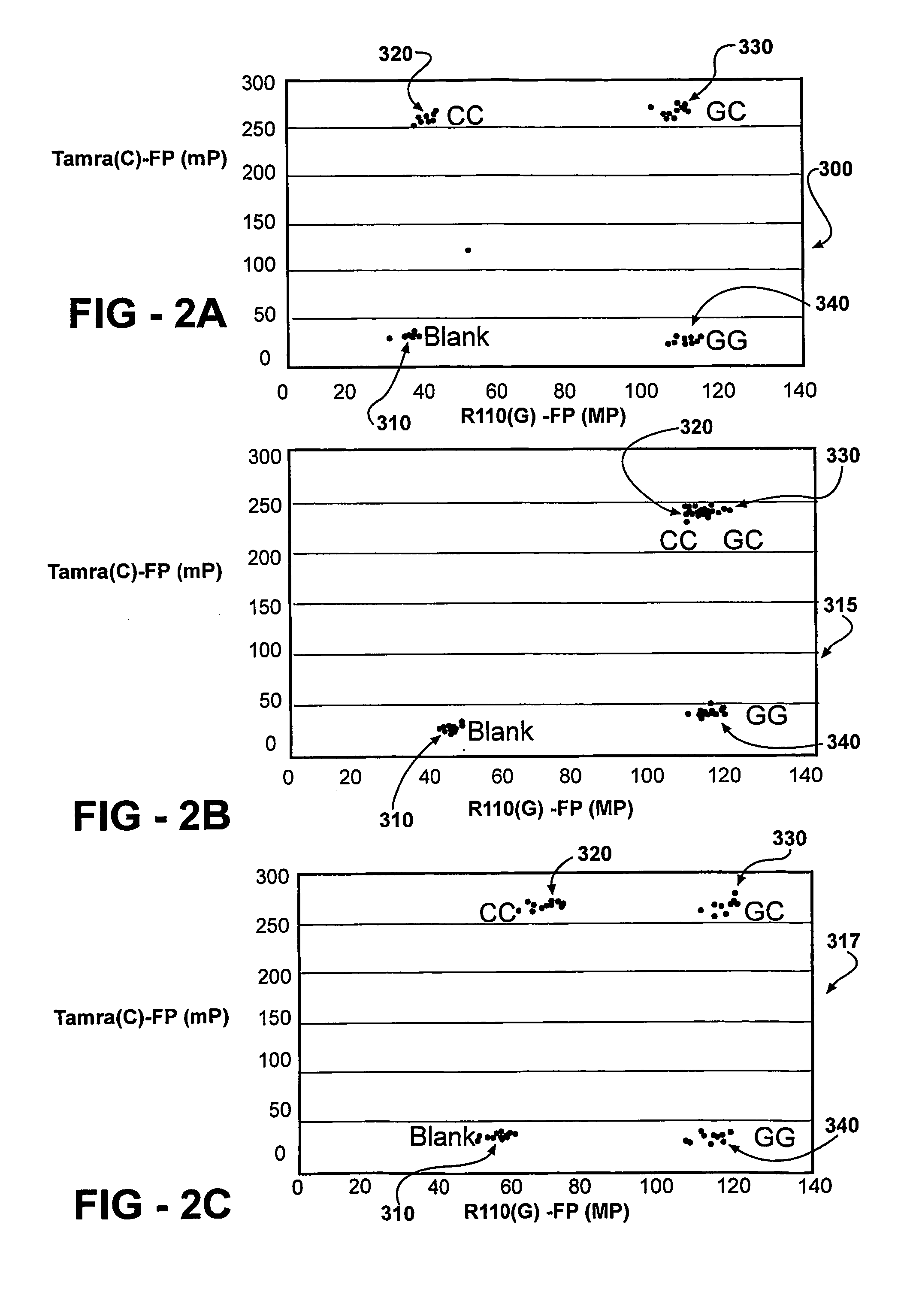 Compositions and processes for genotyping single nucleotide polymorphisms