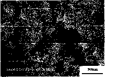 Preparation method of sulphur-containing polyacrylonitrile battery anode material