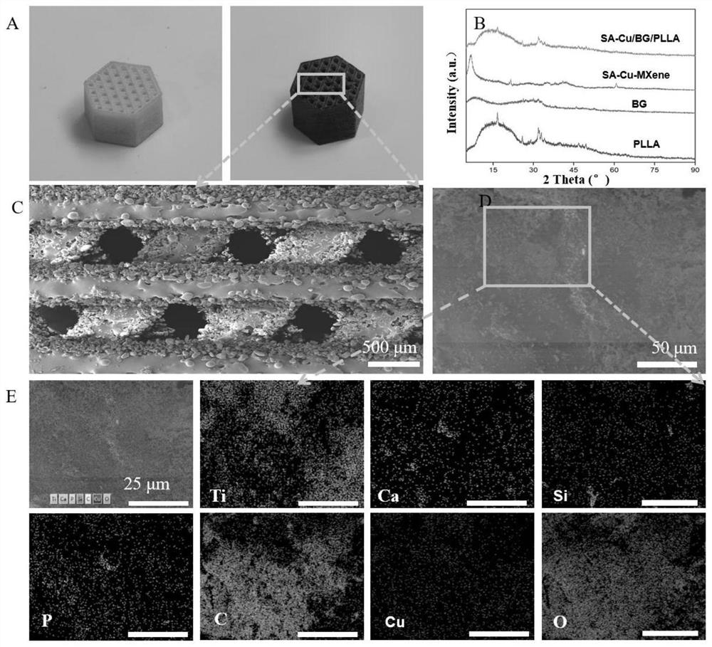 Artificial bone material loaded with monatomic copper catalyst and application