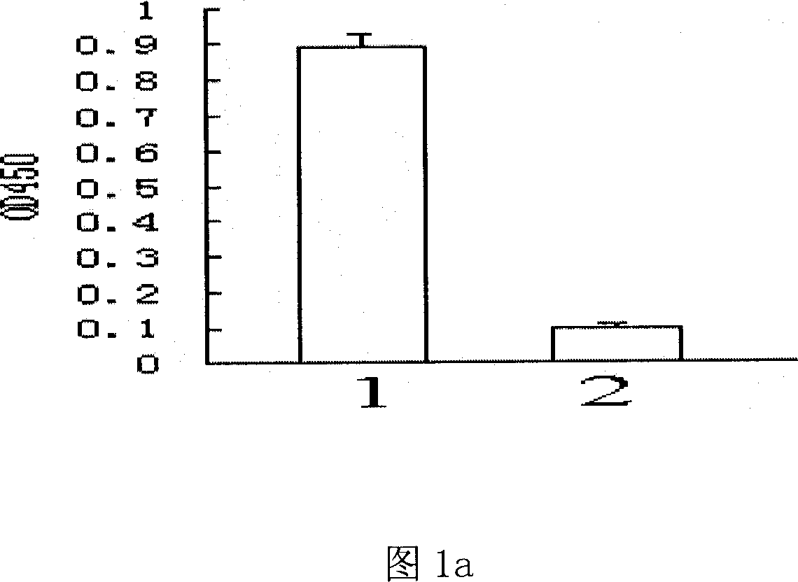 Protein and small molecule polypeptide for increasing lysozyme bacteriolysis activity and its use