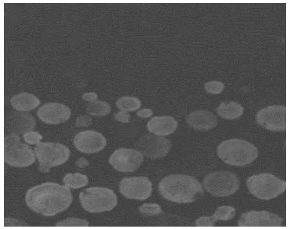 Silicon nitride gradient porous capillary core for loop heat pipe and preparation method thereof