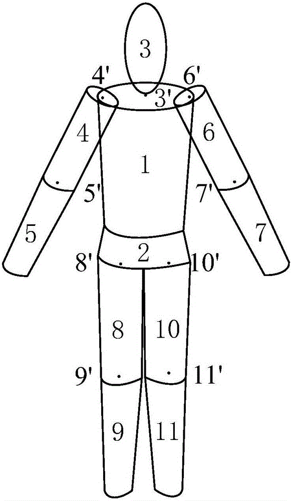 Parachutist falling motion simulation method based on multi rigid body model