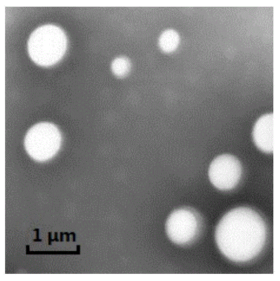 A kind of Nimodipine/Ligustrazine dual-loaded PLGA nanoparticles and preparation method thereof