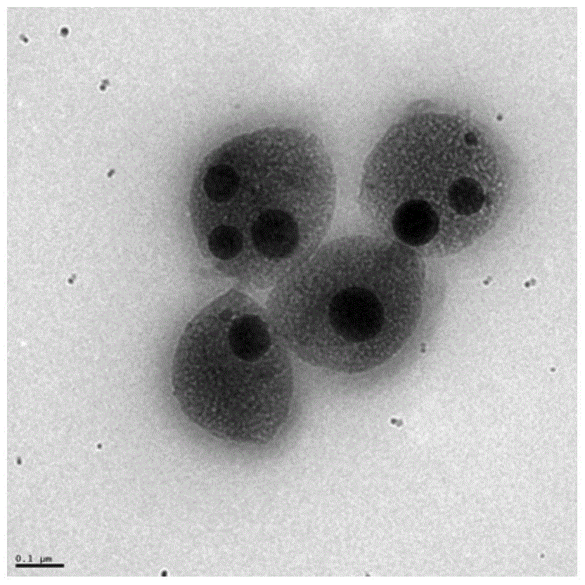 Silica composite microspheres of metal or metal oxide nanoparticles and preparation method thereof