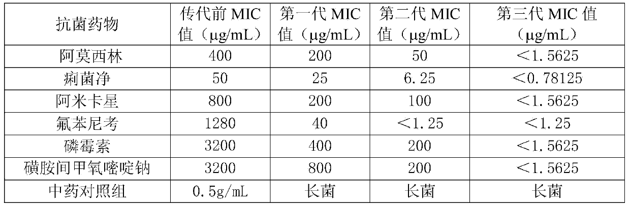 Acalypha australis L. and mequindox containing compound medicine for livestock and poultry