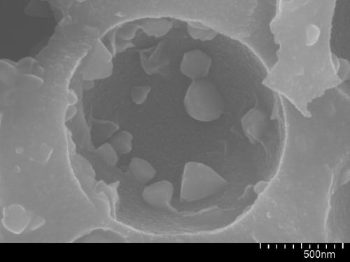 Cds-Mos2 nanoparticles co-doped black porous titania photocatalyst