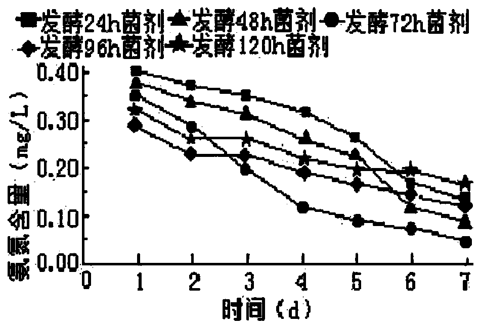 Microorganism water purification agent and preparation method thereof